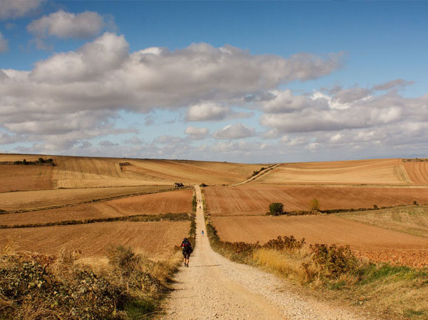 IL CAMMINO DI SANTIAGO / II Lezione - Il Camino Francés dai Pirenei a Santiago  di Compostela - Flumen